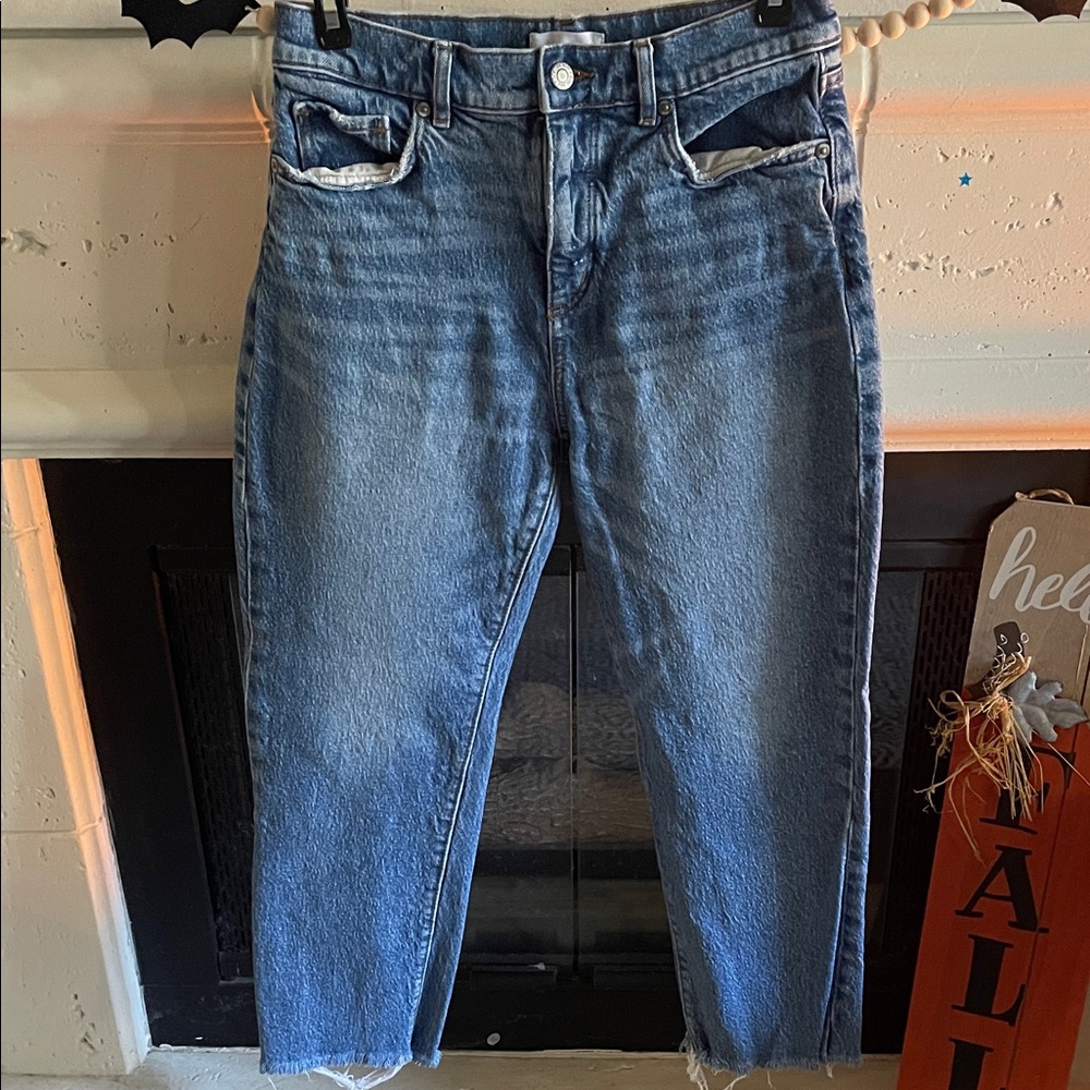 LOFT Blue Denim Jeans